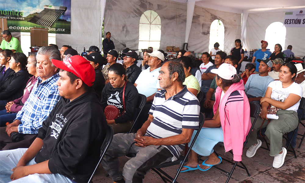 expo economía, Tecozautla