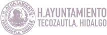 Logo Municipio de Tecozautla 2020-2024